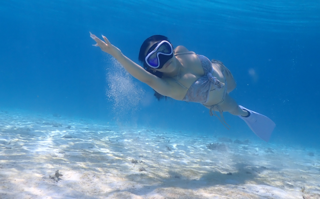 サップ&シュノーケルツアー